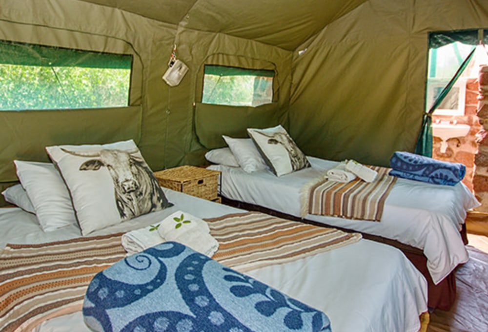 Brandberg White Lady Lodge